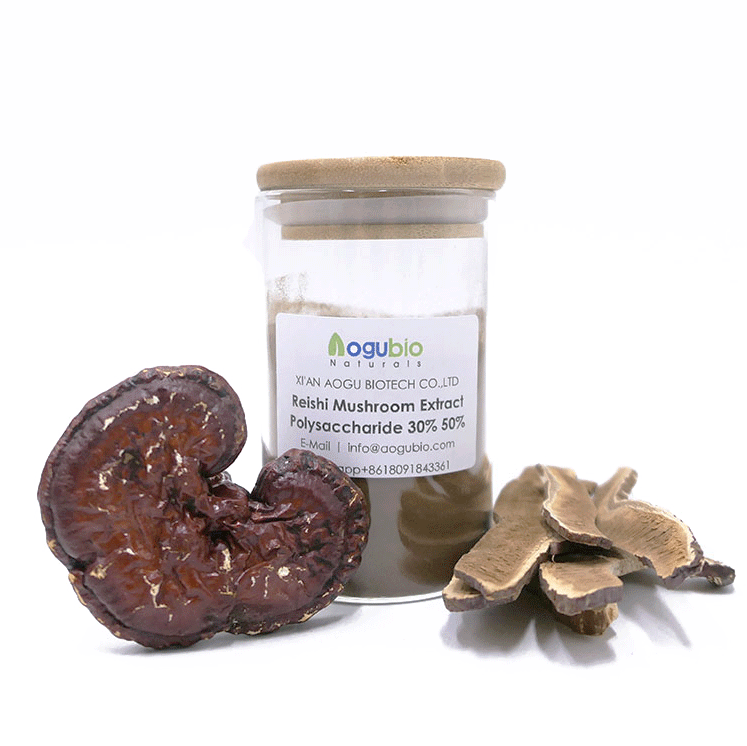 Organic Mushrooms Reishi Mushroom Extract powder