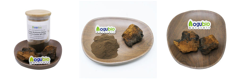 0rganic Reishi mushroom powder2