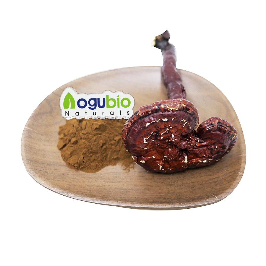 Factory Supply Organic Reishi Mushroom Powder