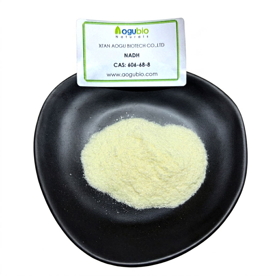 Wholesale NADH Powder Reduced Nicotinamide Adenine Dinucleotide CAS 606-68-8