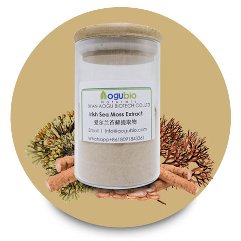 Organic Sea Moss Extract Powder