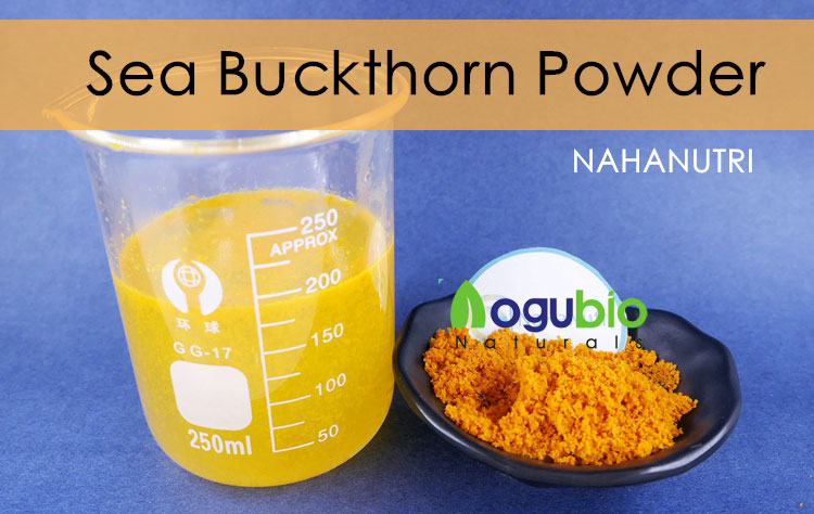 sea buckthorn