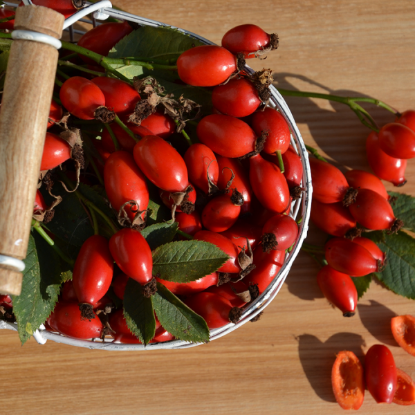 5d4d4de6-ab1e-4f10-b997-5d8bf9bd3410