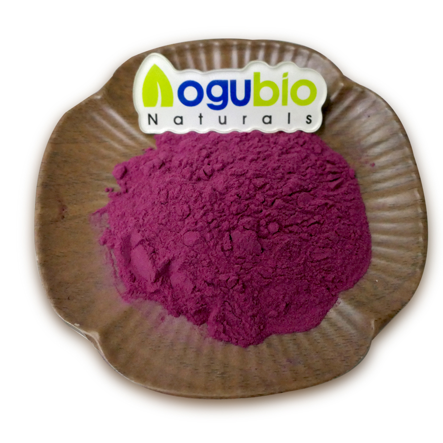 Acai berry powder-2