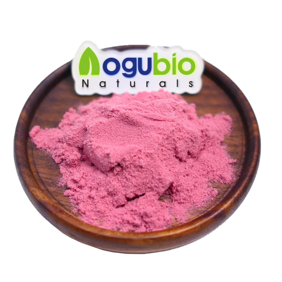 Aronia Melanocarpa extract powder