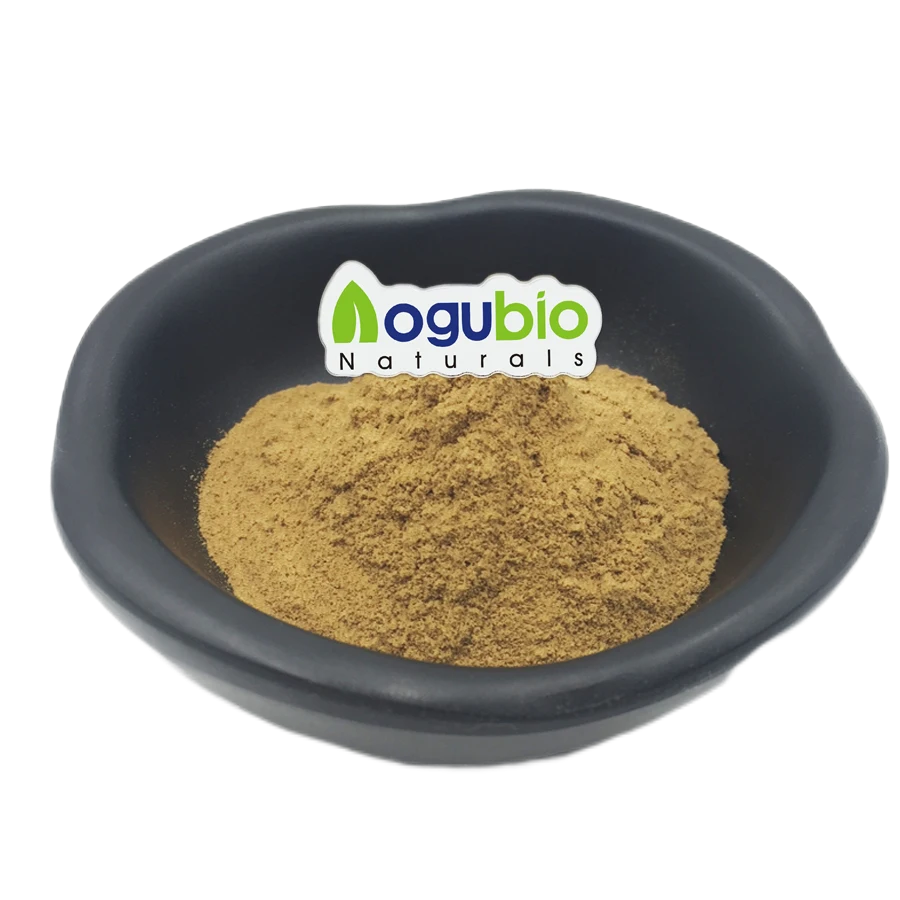 Wholesale Witch Hazel Extract Hamamelis Virginiana Tannin 0.5% 5% 10%