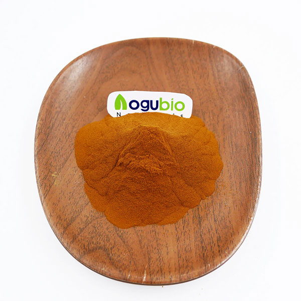 100% pure honeysuckle extract powder honeysuckle flowers extract