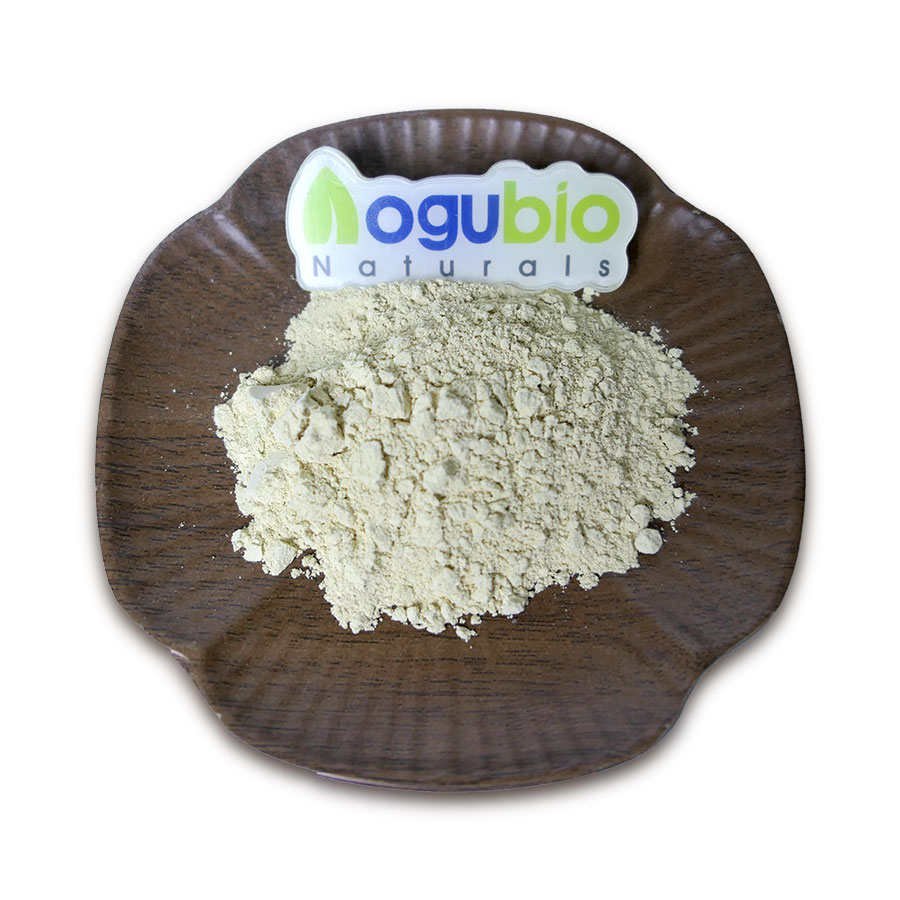 CAS 480-18-2 98% Dihydroquercetin Taxifolin Powder