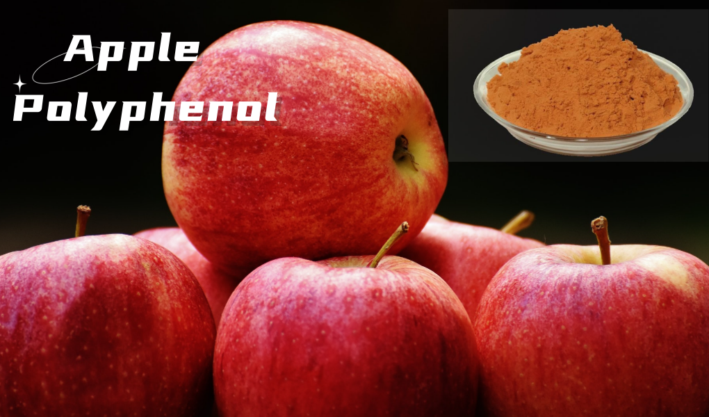 Apple polyphenols 1