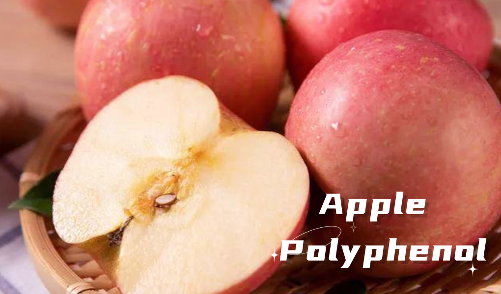 Apple polyphenols 3