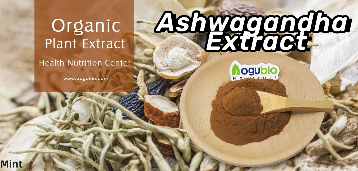 The Power of Ashwagandha Extract: Enhanced Health and Wellness