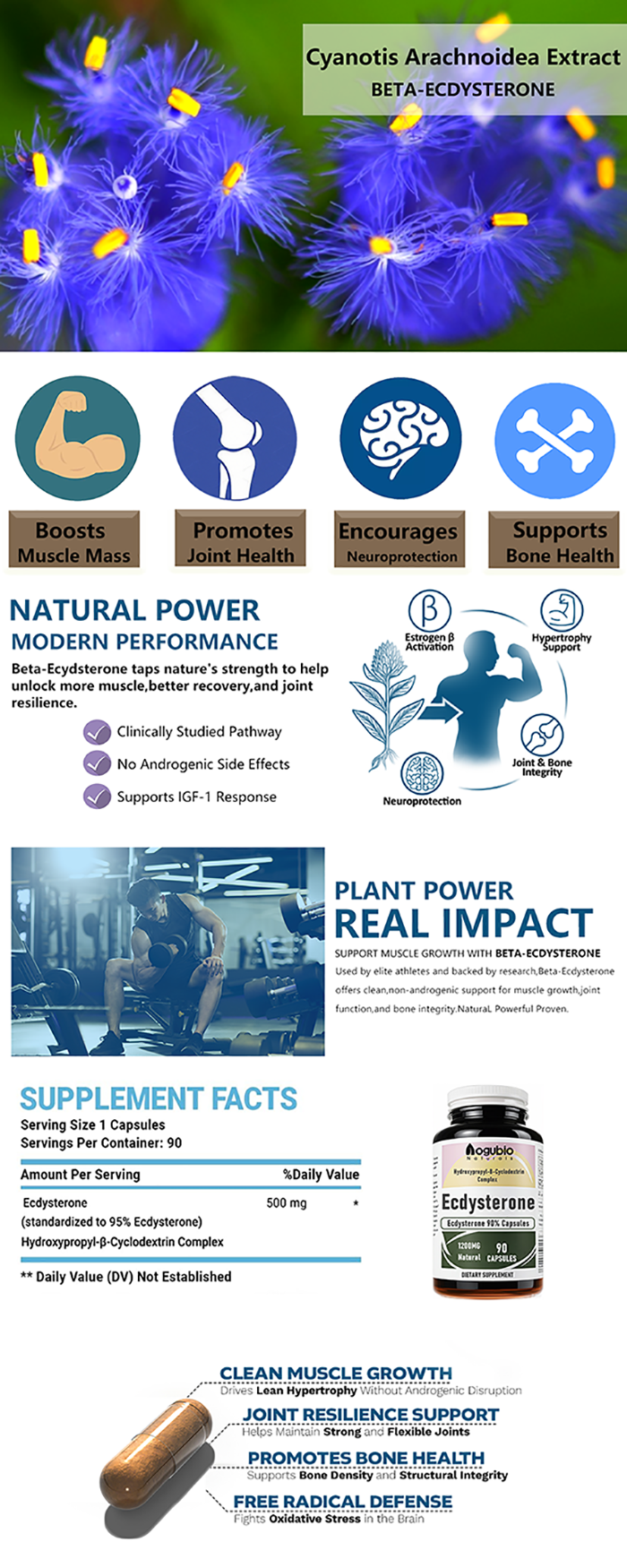 BETA-ECDYSTERONE-800