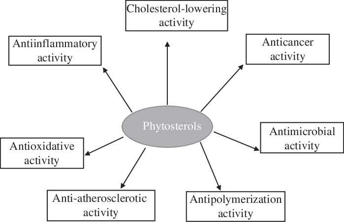 Benefits-of-phytosterols-for-human-health