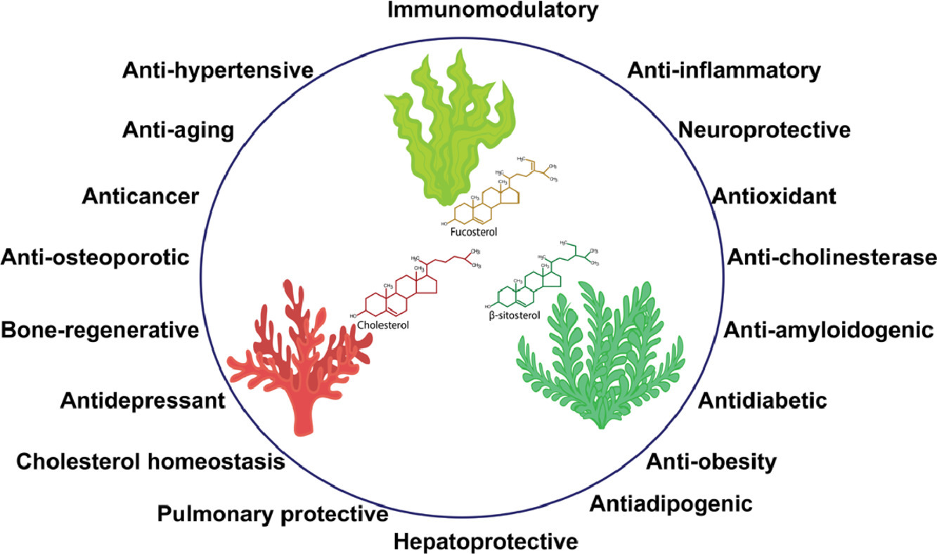 Benefits-of-phytosterols