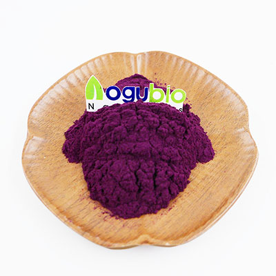 Manufacturer Supply Freeze Organic Dried Mulberry Powder