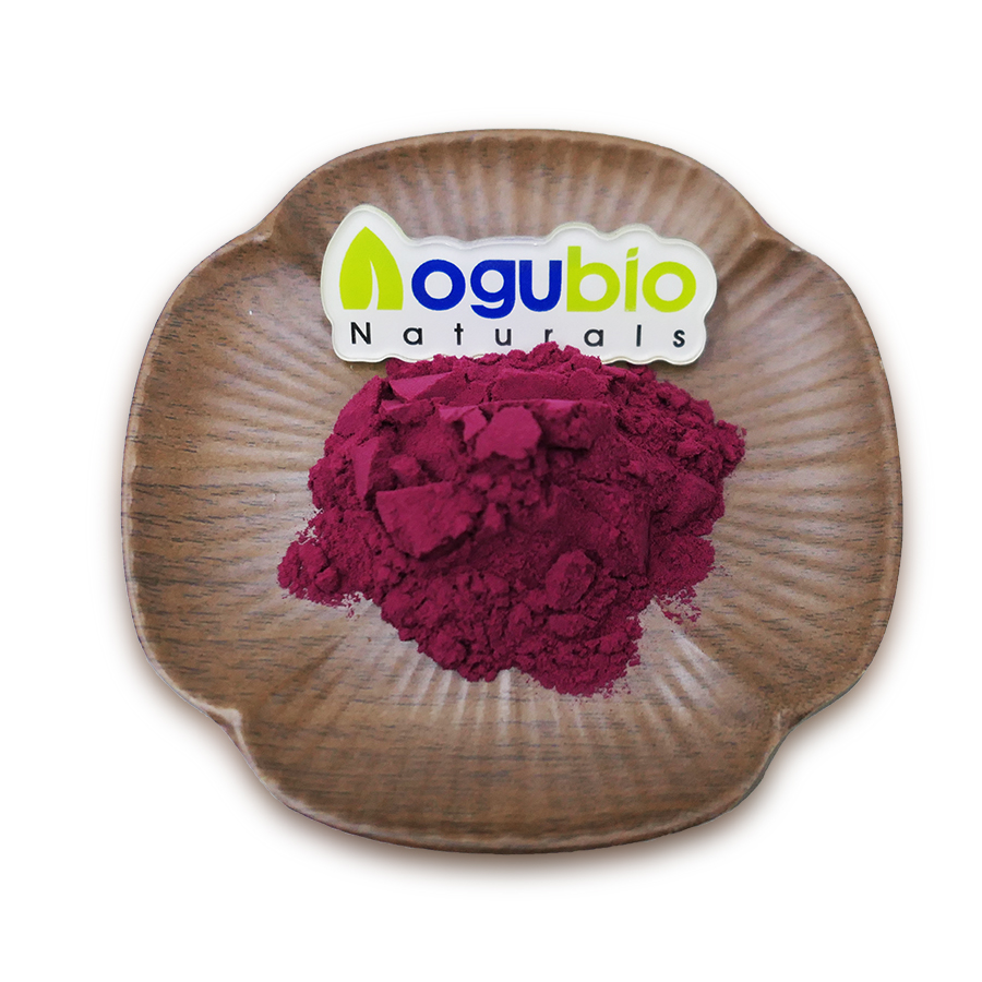 100% Pure Organic BlackBerry Juice Extract powder