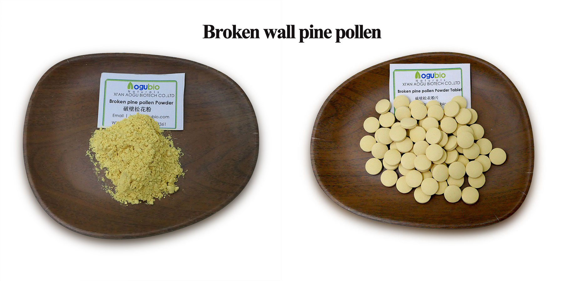 Broken-wall-pine-pollen