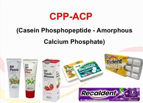 Casein Phosphopeptide application (1)