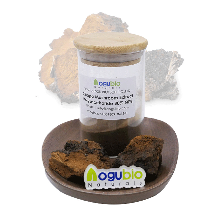 Manufactur standard Inonotus Obliquus Powder EU & USDA Organic Chaga Mushroom Powder