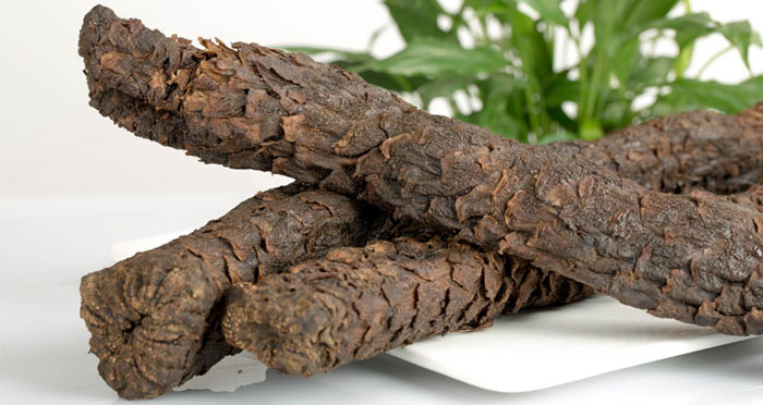 The Amazing Benefits of Cistanche Tubulosa Extract: Boost Your Immune System Naturally