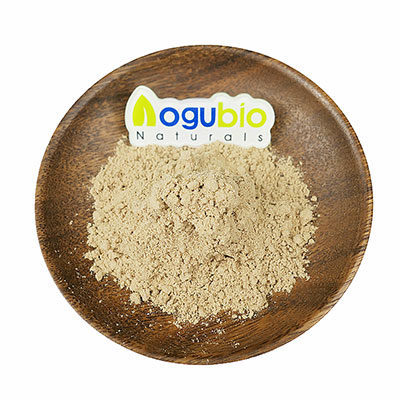 Turkey Tail Mushroom Extract (Coriolus Versicolor) Powder