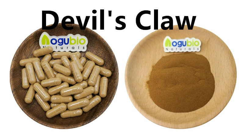 The amazing benefits of Devil’s Claw Extract: