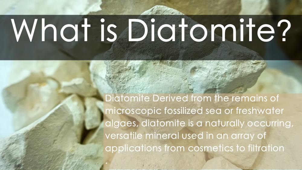 What is Diatomite?