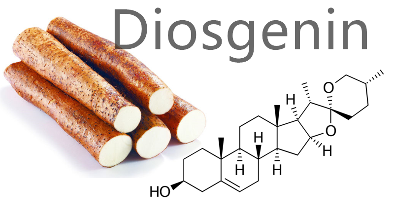 Wild Yam Root extract — 98% Diosgenin