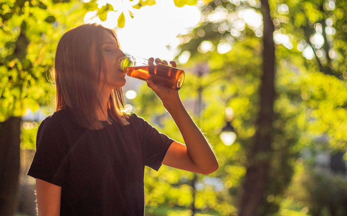 Drink Kombucha Powder