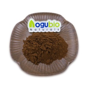 Shilajit Extract Powder