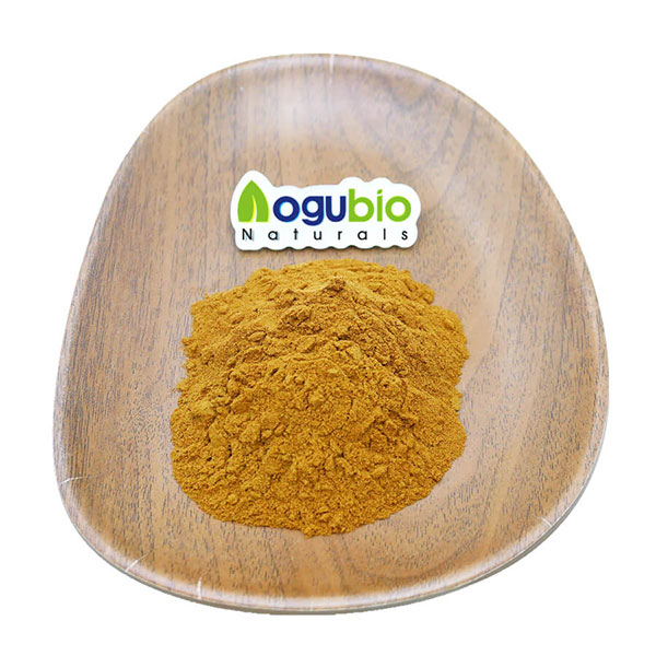 Professional Factory for China Wholesale Supply High Quality 100% Natural Valerian Root Extract Powder