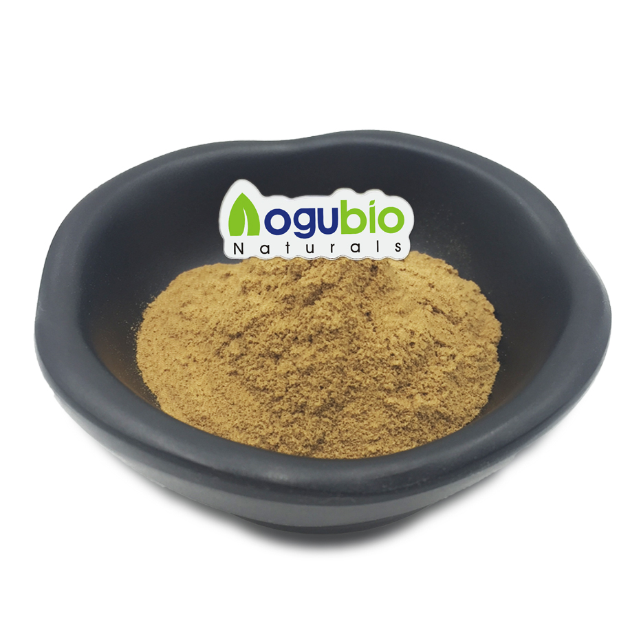 Fagopyrum tataricum extract2