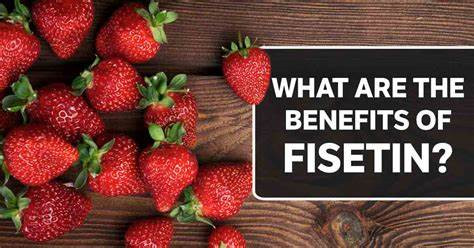 Fisetin: A Powerful Antioxidant for Enhancing Brain Health and Cognitive Function