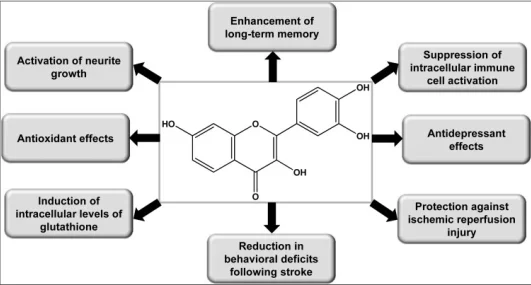 Fisetin benefits