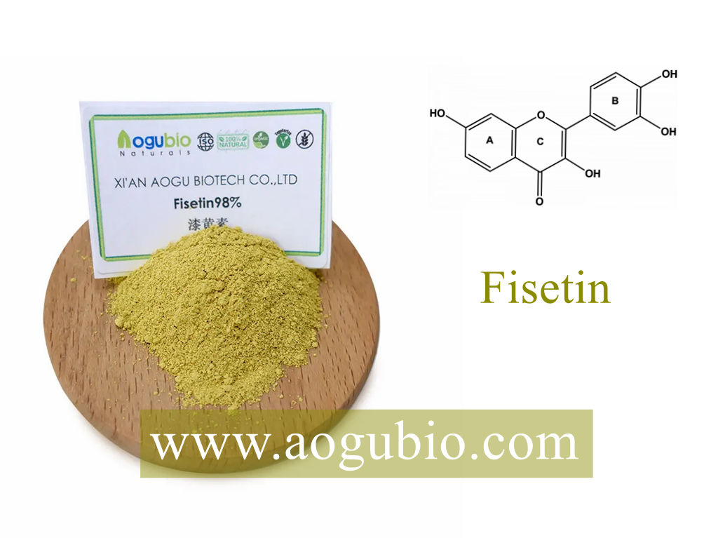 The Powerful Health Effects of Fisetin Benefits from Oofinus Coggygria Stem Extract