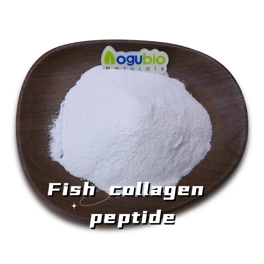 Fish collagen peptide 1