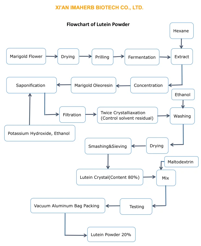 Flowchart of Lutein Powder