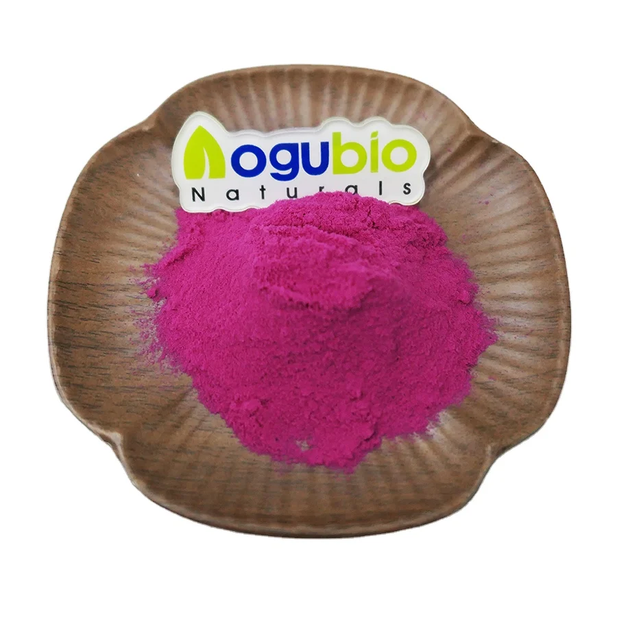 Freeze-Dried Red Dragon Fruit Powder  2