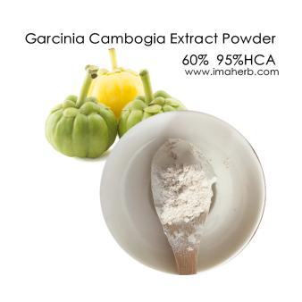 Top Grade Garcinia Cambogia Extract Powder