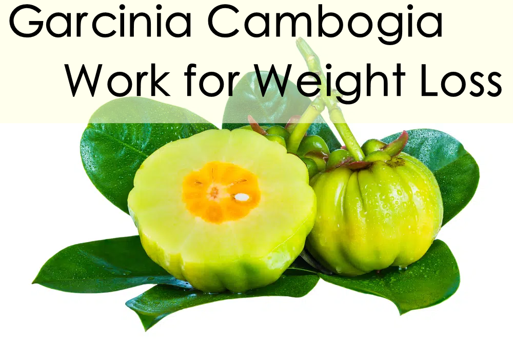 Does Garcinia Cambogia Work for weight loss?