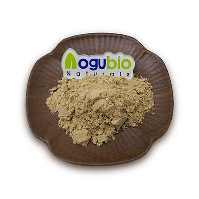 2019 New Style Siberian Ginseng Extract Powder with 4: 1 10: 1