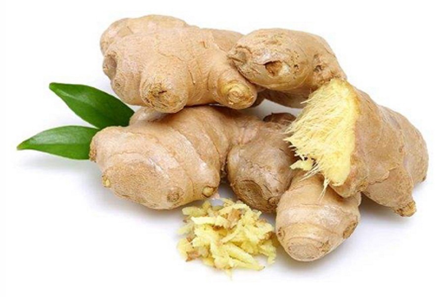 Harness the power of ginger extract powder to enhance your health