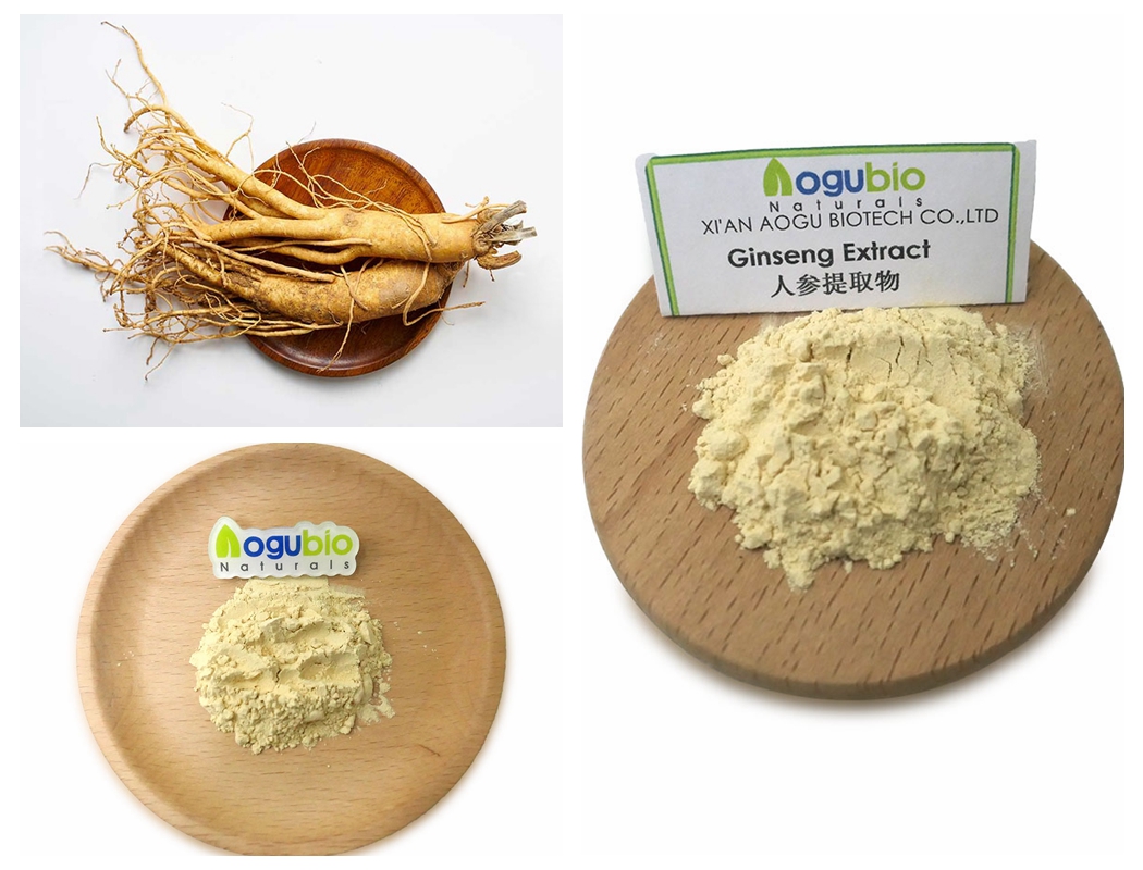 Ginseng extract 2