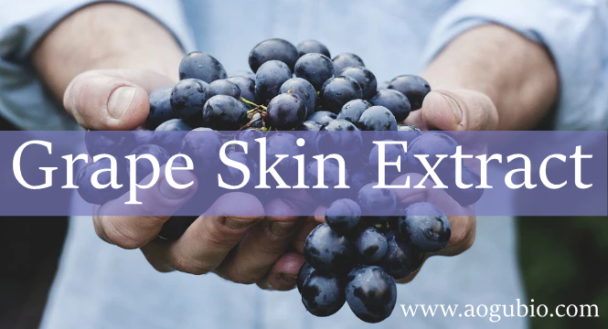 Grape Skin Extract