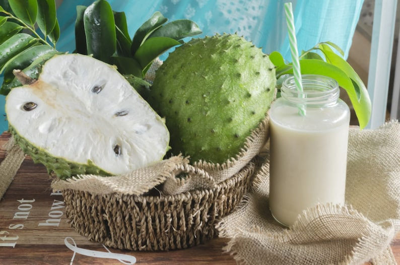 Immunity Supplements Graviola Extract Soursop (Annona Muricata) Powder