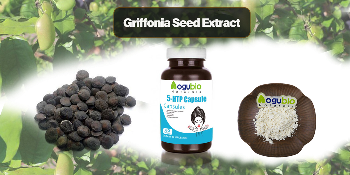 Griffonia Seed Extract