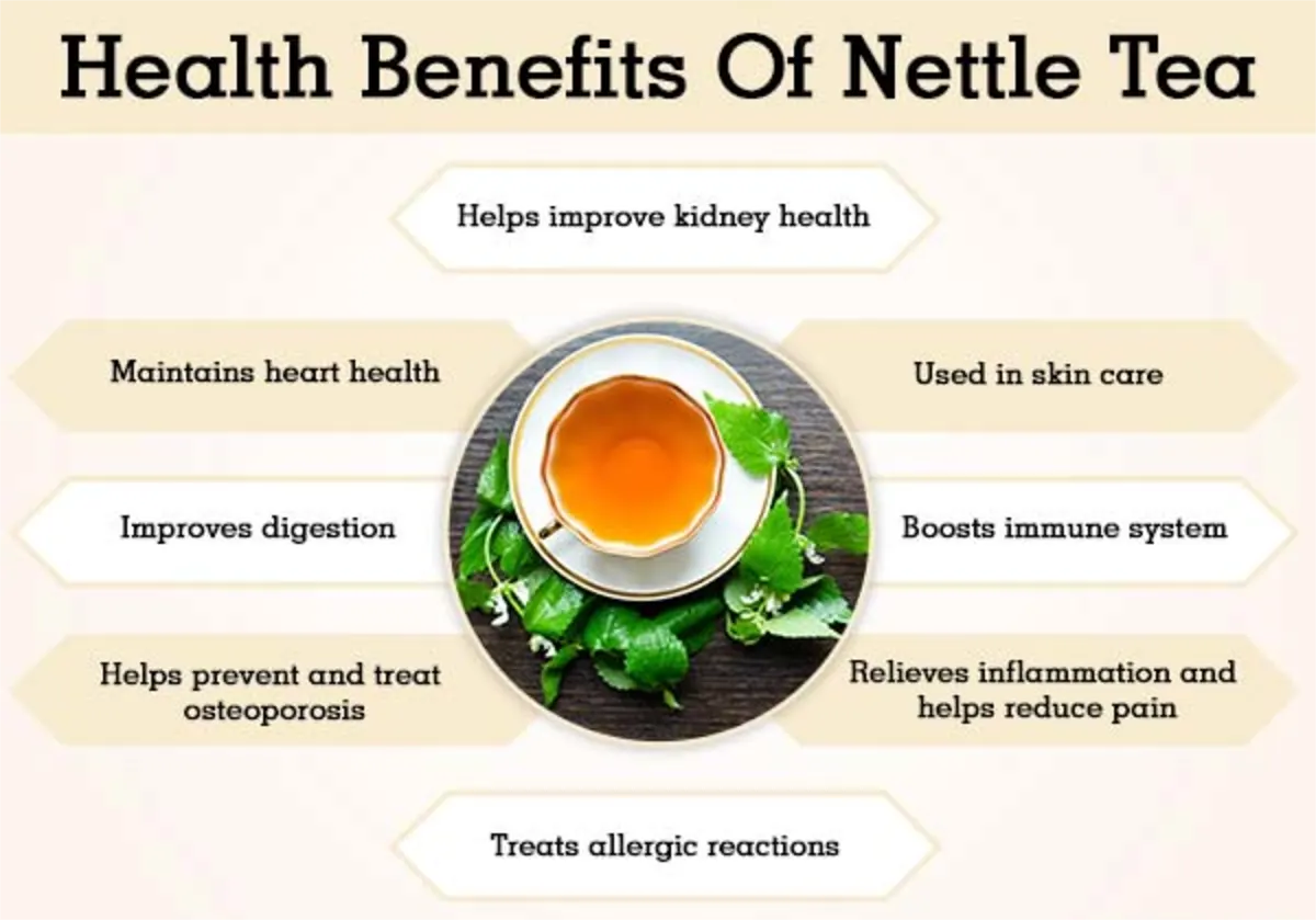 Health-Benefits-Of-Nettle-Tea