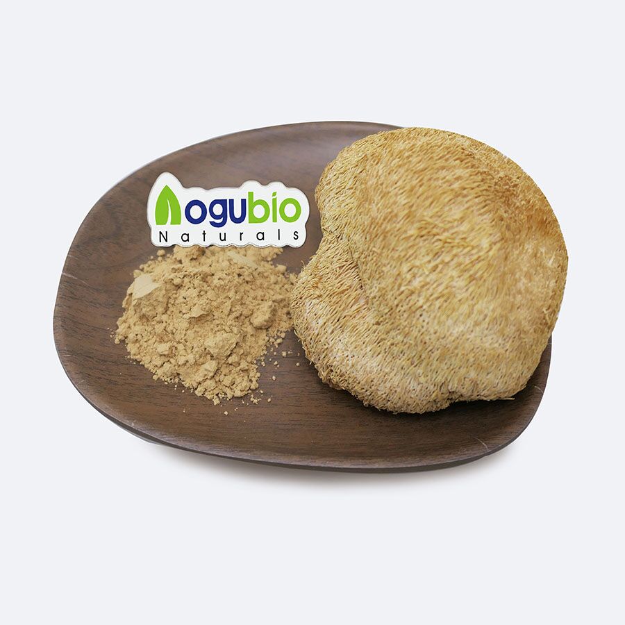 Hericium erinaceus extract (2)