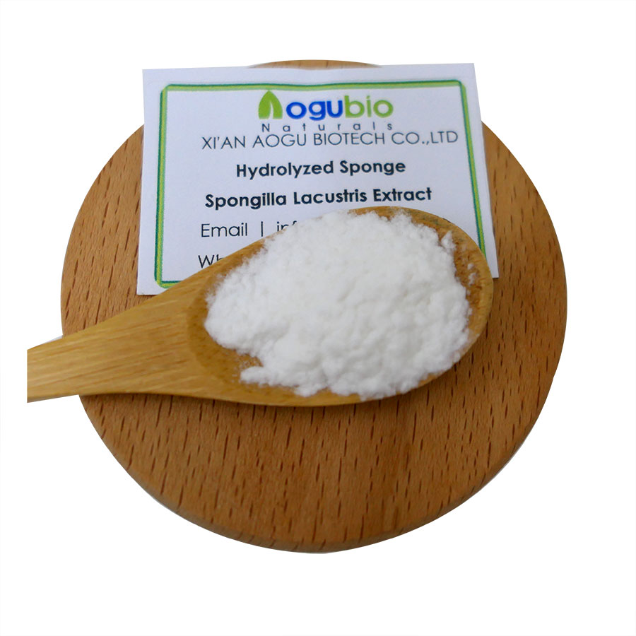 Beauty Skin Care Spongilla Lacustris Extract Powder20% 50% 70% 99% Micro Needle Sponge Sponge Spicule