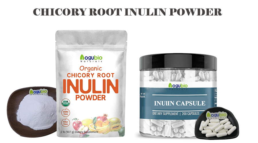 INULIN-POWDER